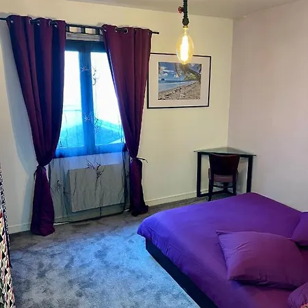 Duplex Hyper-centre Avec Sa Cour Privee Angers